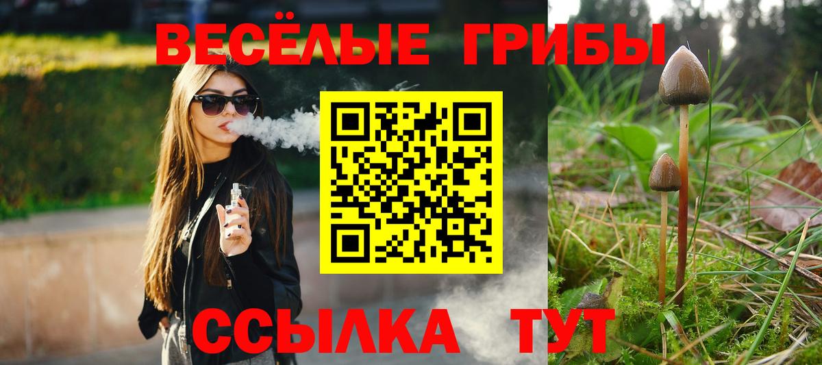 где купить наркотик  Галлюциногенные грибы MAGIC MUSHROOMS  Вход с VPN  Крымск 